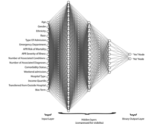 Node layout of input/output for a decision matrix for injury prevention